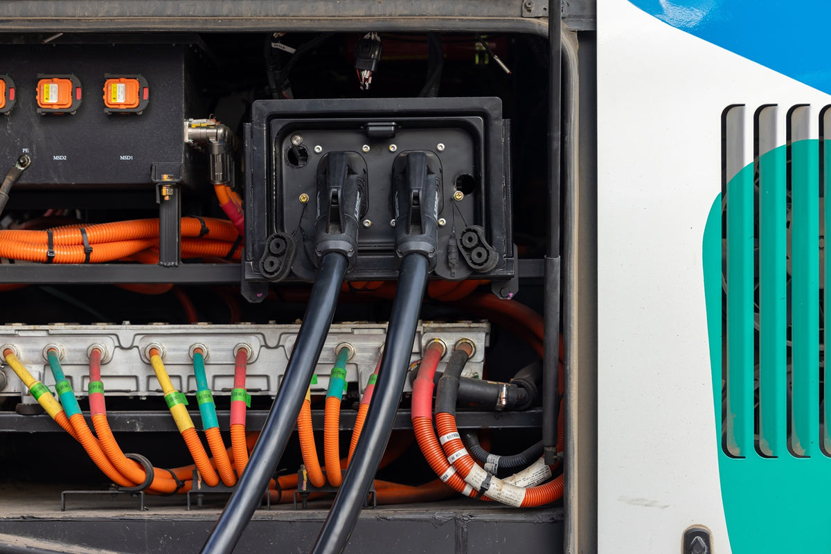 Coiled 50A NEMA 14‑50 RV extension cord on a campground pedestal with frost on the grass, showing thick STW jacket and molded connectors