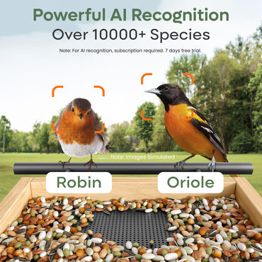Adomii Smart Bird Feeder Camera Solar Powered with AI Bird Identification, Live View