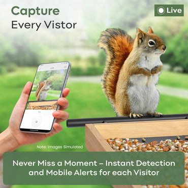 Adomii Smart Bird Feeder Camera Solar Powered with AI Bird Identification, Live View