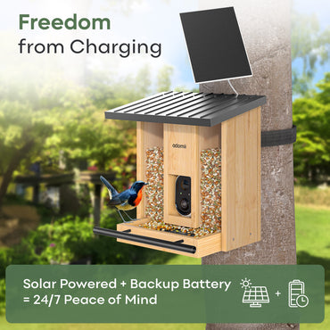 Adomii Smart Bird Feeder Camera Solar Powered with AI Bird Identification, Live View