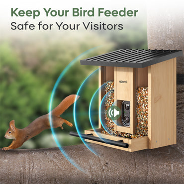 Adomii Smart Bird Feeder Camera Solar Powered with AI Bird Identification, Live View