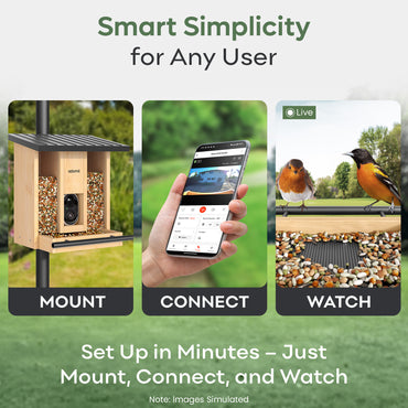 Adomii Smart Bird Feeder Camera Solar Powered with AI Bird Identification, Live View