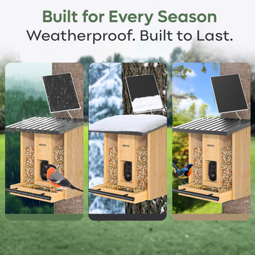 Adomii Smart Bird Feeder Camera Solar Powered with AI Bird Identification, Live View