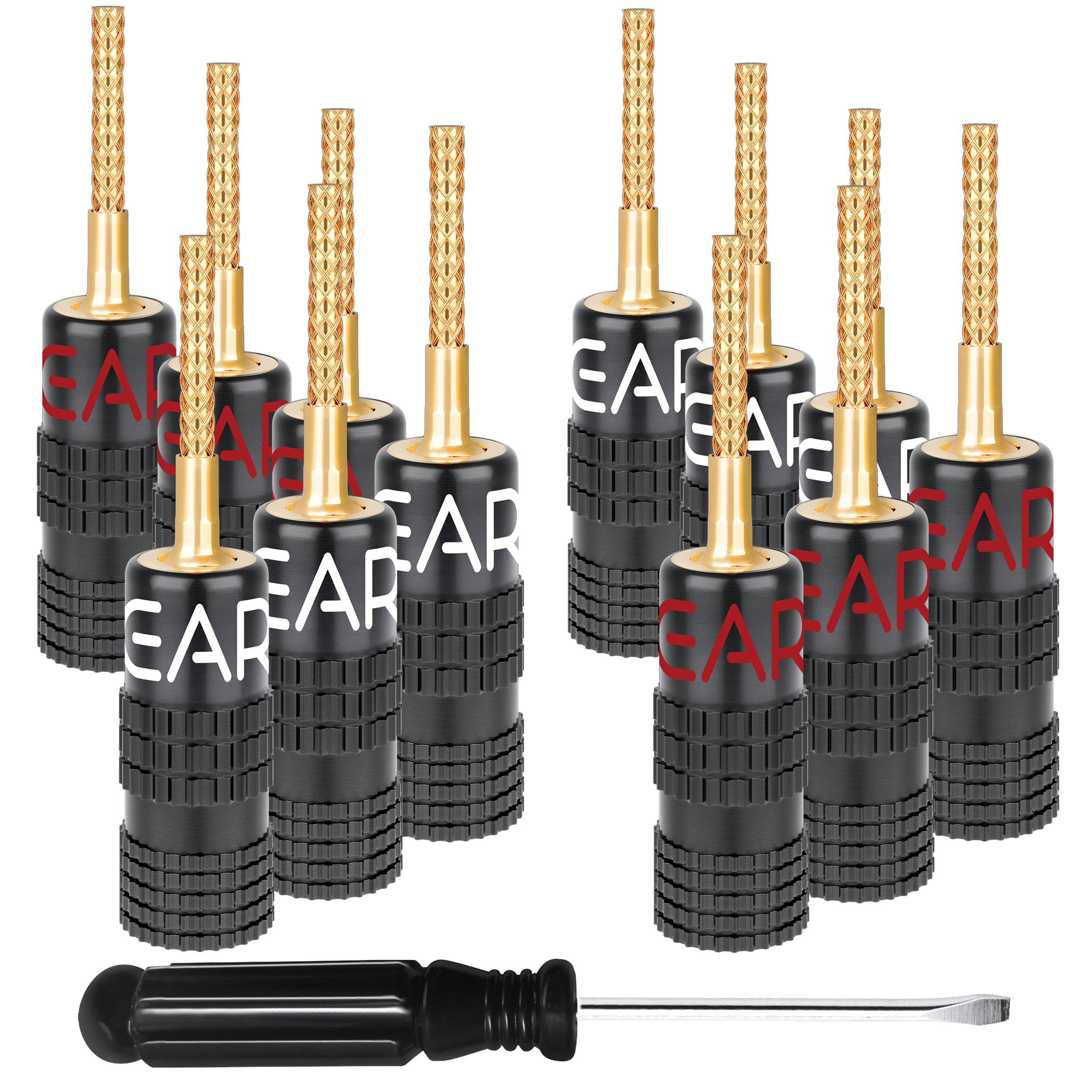 GI-BPFX-6PK.jpg?v=1756151358&