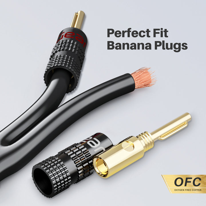 GearIT 10 AWG Speaker Wire Cable with Banana Plugs - Braided Jacket - CL2 Rated for In-Wall - Oxygen-Free Copper (OFC) - GearIT